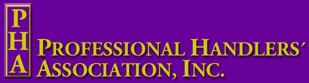 Masthead